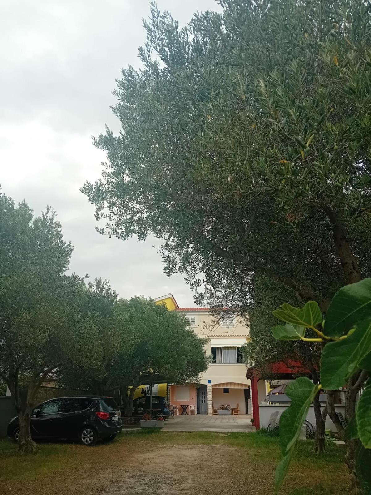 Apartmani A&N Bibinje Bagian luar foto
